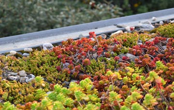 the cost of Ashley Heath green roof installation