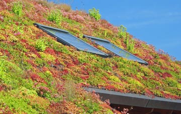 Ashley Heath living roof systems
